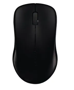 Rapoo Souris optique sans fil "1620" 2.4 GHz, Noir